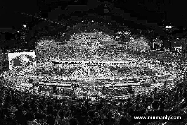 介绍bevictor伟德官网